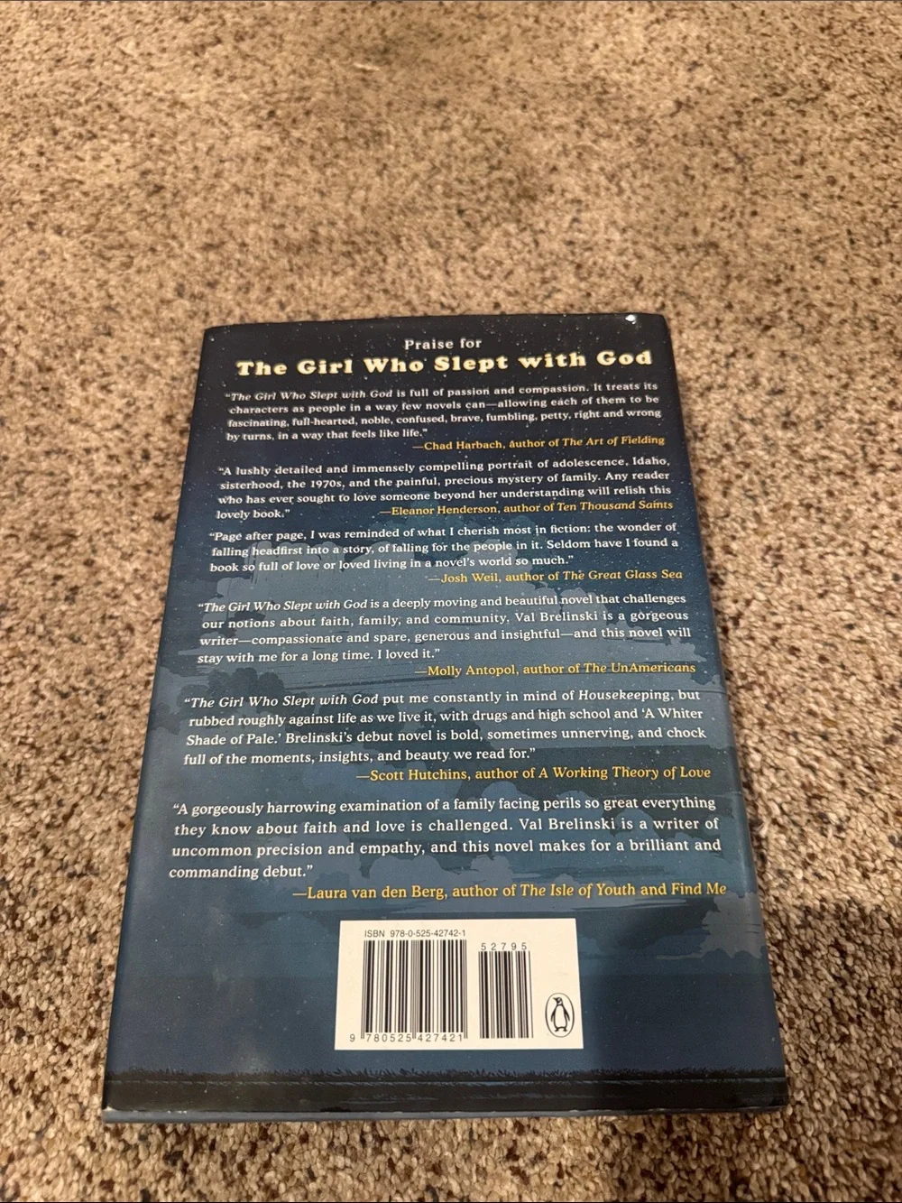 The Girl Who Slept with God - Illustrated Blue Cover Hardcover